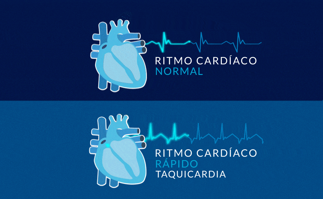 Corazón simulando ritmo cardiaco rápido cuida tu corazón